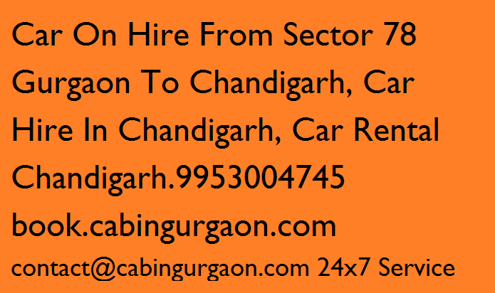 Full Day Car Hire