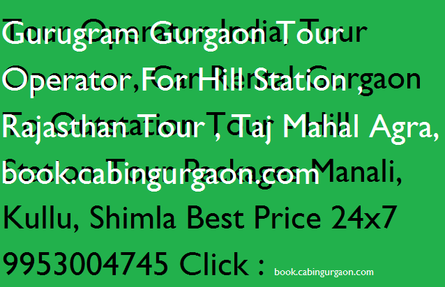tour operator gurugram